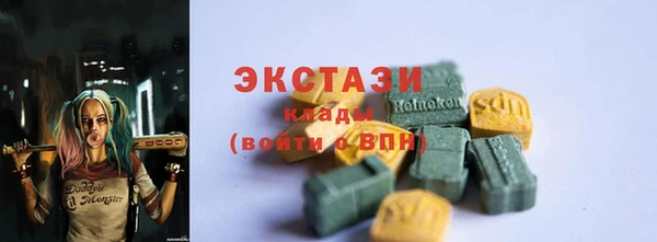 ECSTASY Алзамай
