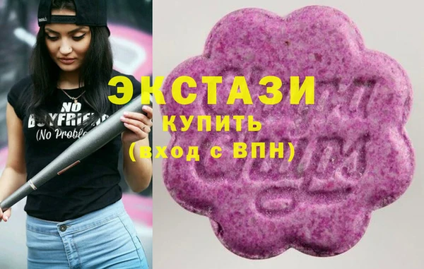 ECSTASY Алзамай
